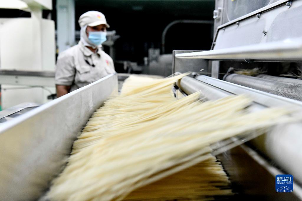 威尼斯游戏大全
